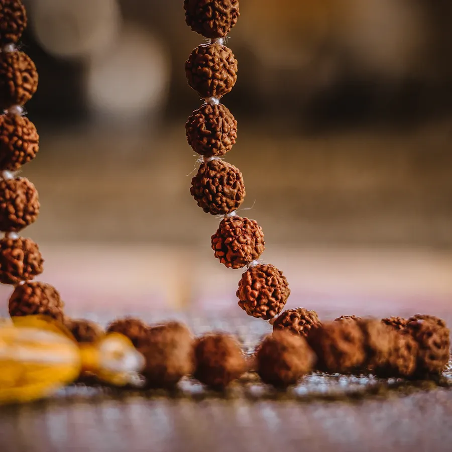 5 Mukhi Rudraksha (Panch Mukhi)